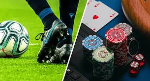 Descubra o Mundo do Jogo com 71bet