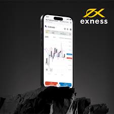 The Essential Guide to Choosing a Reliable FX Broker